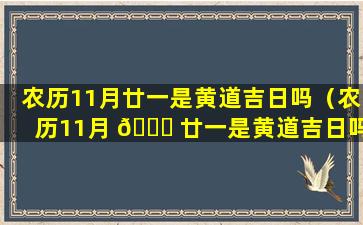 农历11月廿一是黄道吉日吗（农历11月 🐒 廿一是黄道吉日吗为什么）